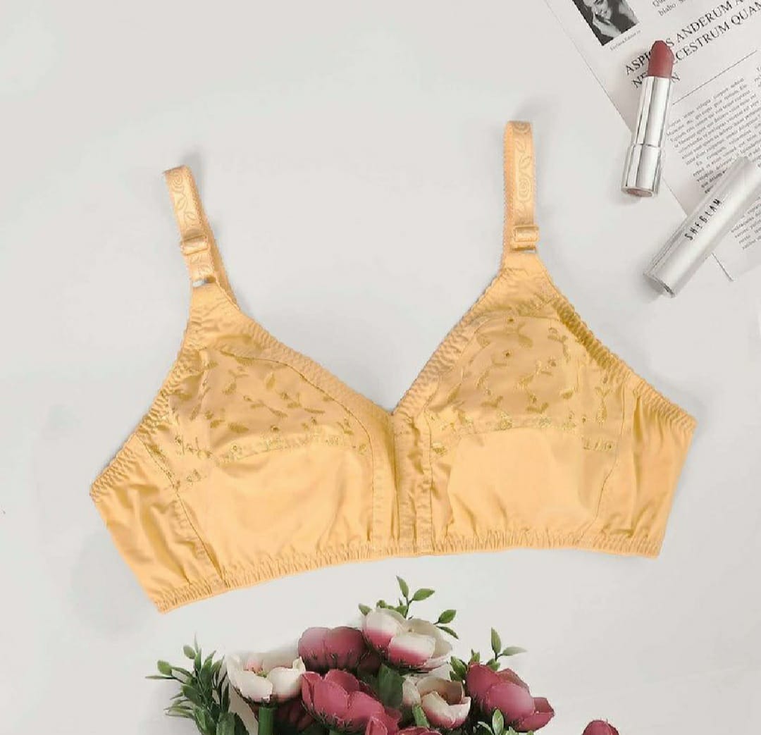 PACK OF 2 IMPORTED EBRIODERY STRETCHABLE COTTON BRA FOR SUMMER